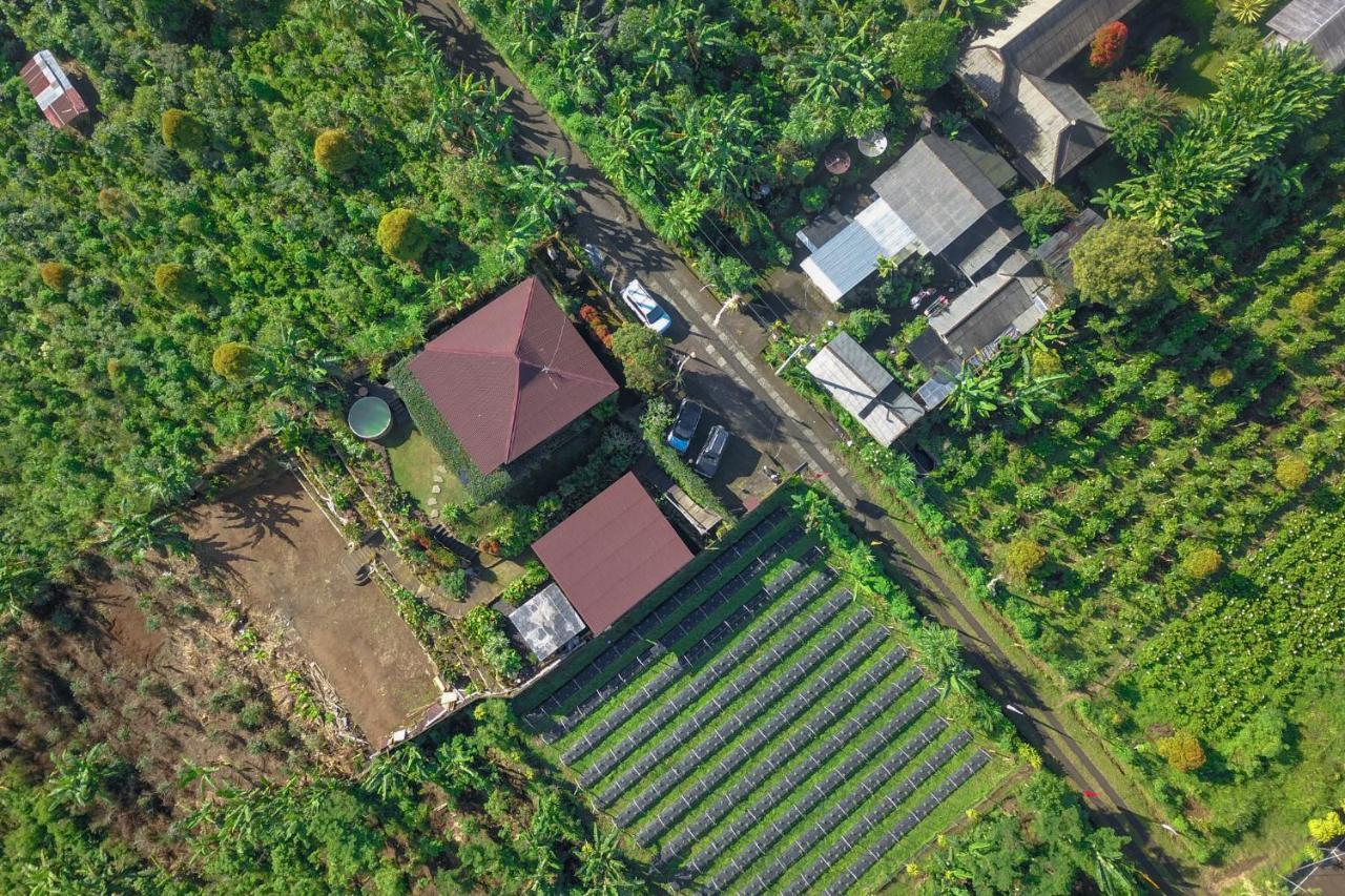 Kayukopi Villa Munduk Kültér fotó
